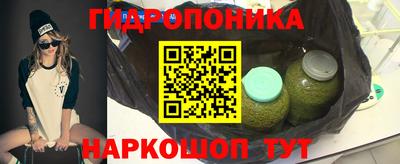 бошки Будённовск