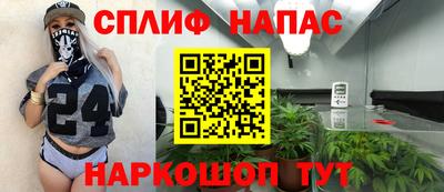 apvp Аша